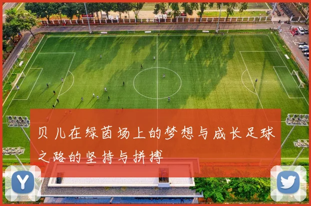 贝儿在绿茵场上的梦想与成长足球之路的坚持与拼搏