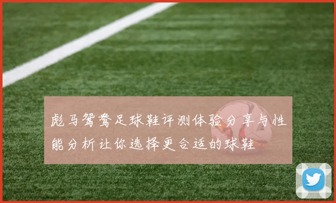 彪马鸳鸯足球鞋评测体验分享与性能分析让你选择更合适的球鞋