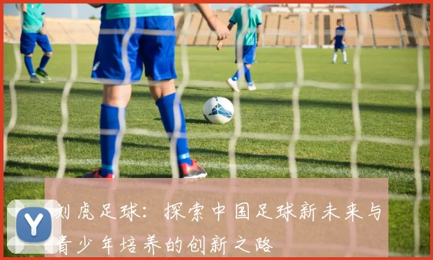 刘虎足球：探索中国足球新未来与青少年培养的创新之路