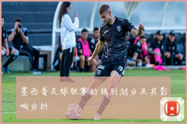 墨西哥足球联赛的级别划分及其影响分析