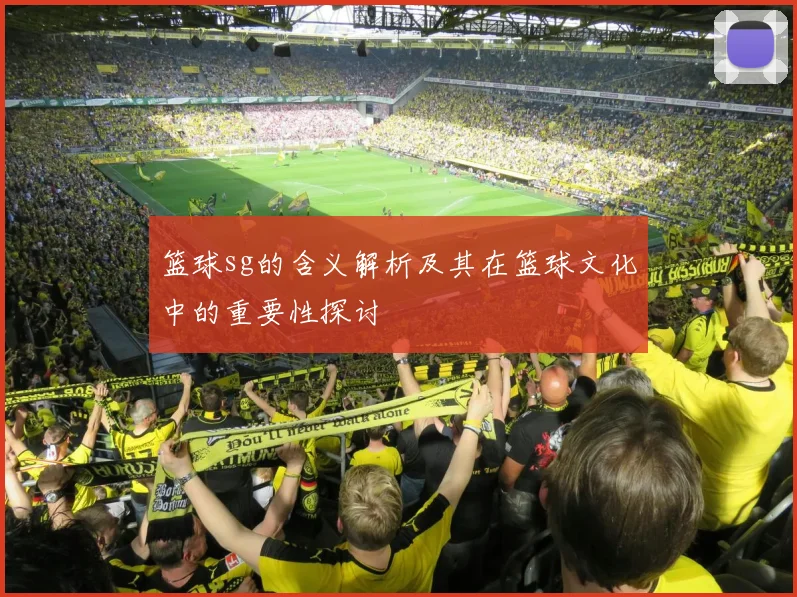 篮球sg的含义解析及其在篮球文化中的重要性探讨
