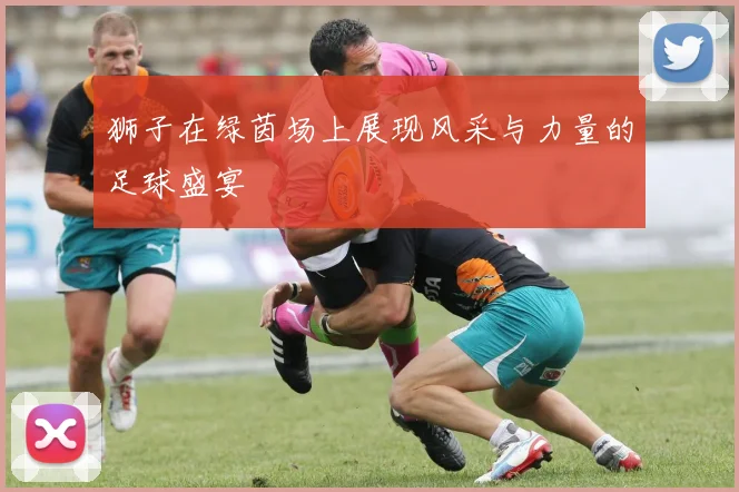 狮子在绿茵场上展现风采与力量的足球盛宴